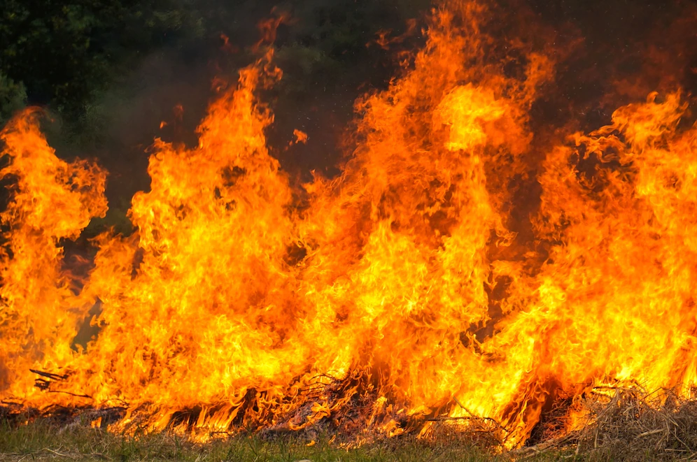 JIM: Лесные пожары влияют на повышенный риск слабоумия
