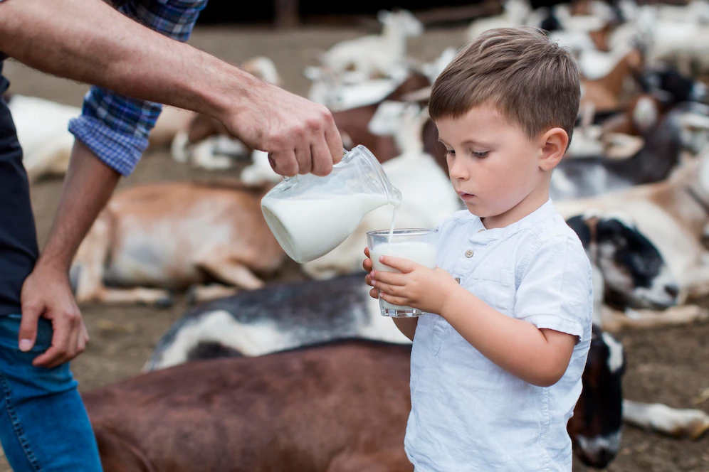 Иммунолог Паршина: Жирное молоко полезно для микрофлоры кишечника