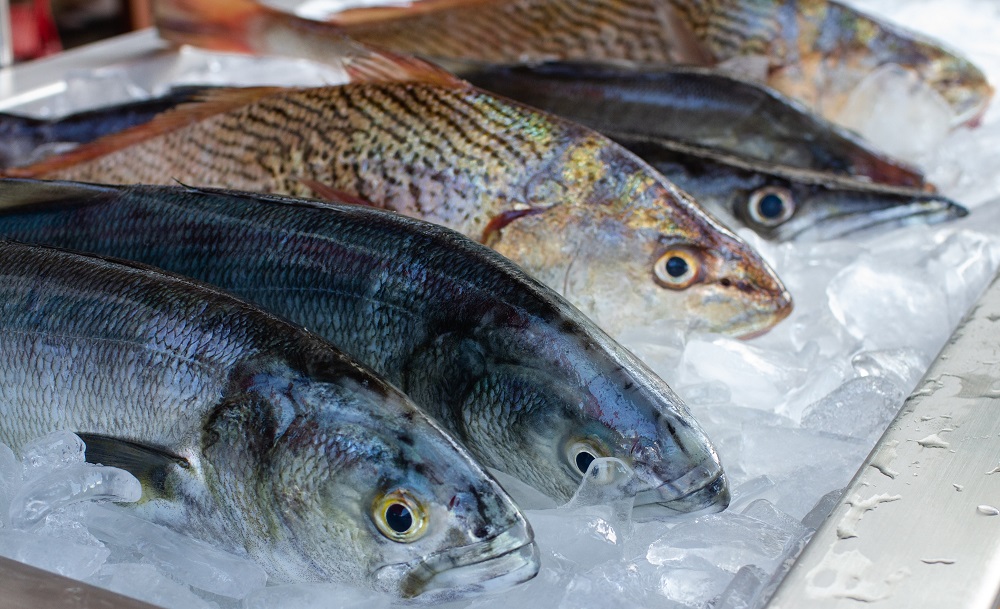 Роспотребнадзор: Нежирные сорта белой рыбы подходят для диетического питания