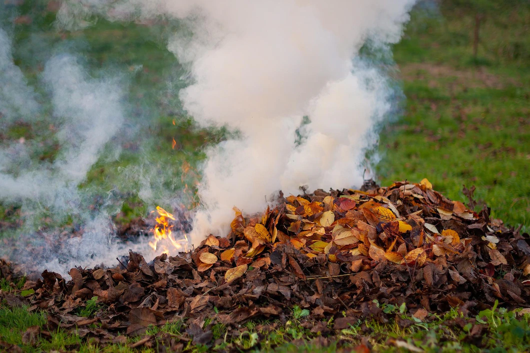 Кардиолог Гандельман: Сжигание листвы на даче может привести к инфаркту