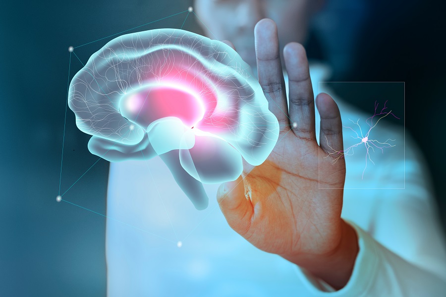 Учёные Сколтеха нашли сигнал фантомной боли в головном мозге