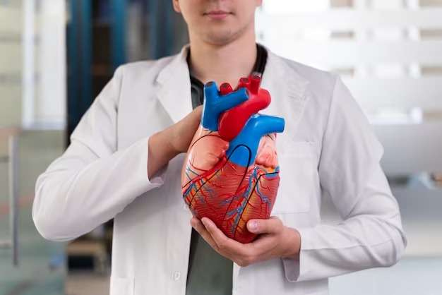 JCR: Коэнзим Q10 может помочь улучшить терапию сердечной недостаточности