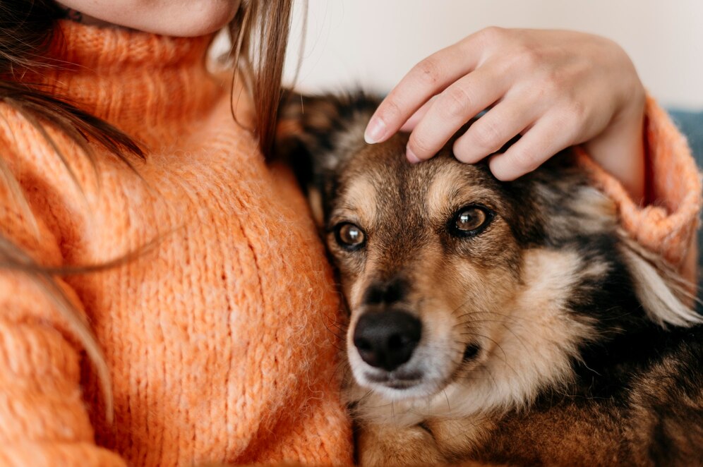 Онколог Покровский: Собаки могут чувствовать рак у человека