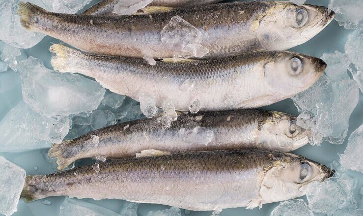 Кардиолог Видяскин: Переедание соленой рыбы смертельно опасно для сердечников