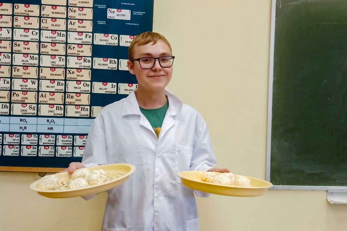 В Вологодском ГМХА студент запатентовал полезный для сердца сыр
