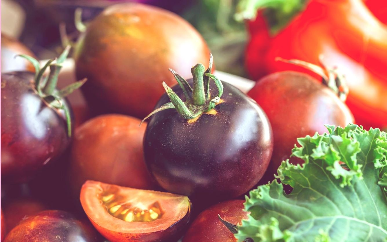 «Доктор Питер»: Ученые в США вывели сорт фиолетовых томатов, защищающих от рака
