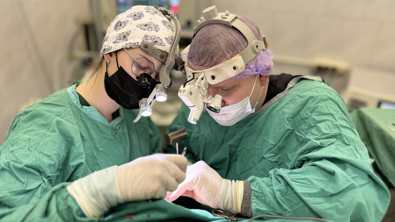 Пациентке из США удалили недавно трансплантированную свиную почку