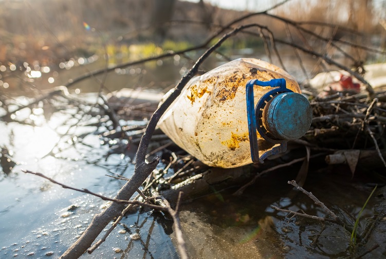 Политик Коган назвал органический мусор одним из самых опасных для планеты