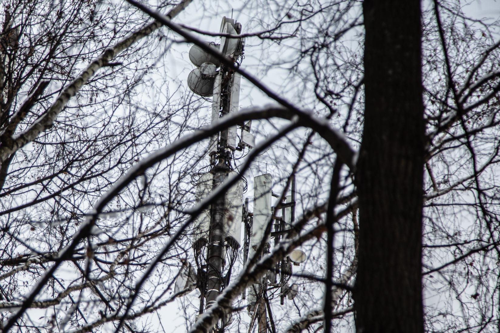 В Арктике появится система дистанционного медицинского обеспечения полярников