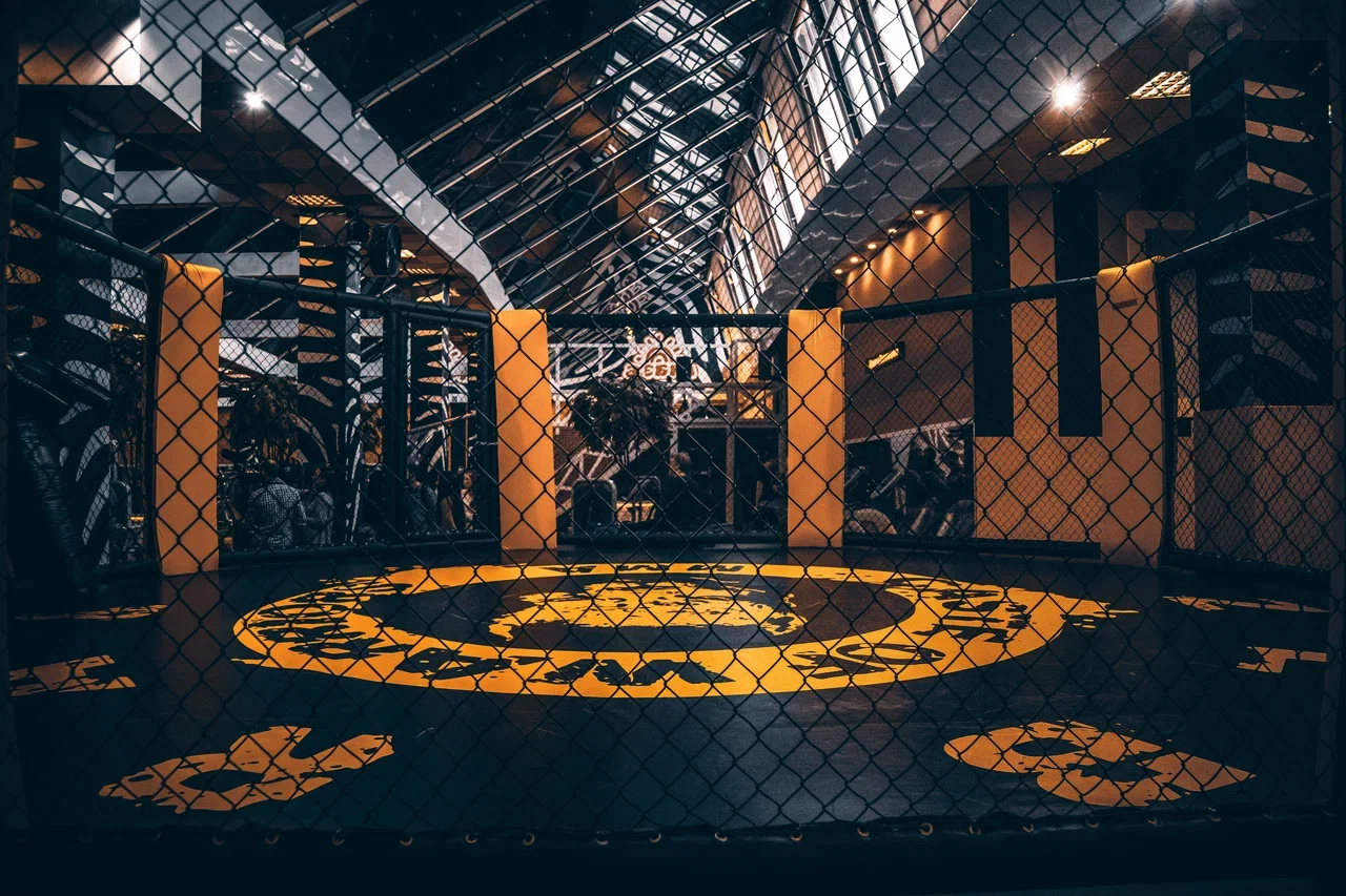 ETH: фитнесс-игры позитивно влияют на мозг носителей легкой деменции